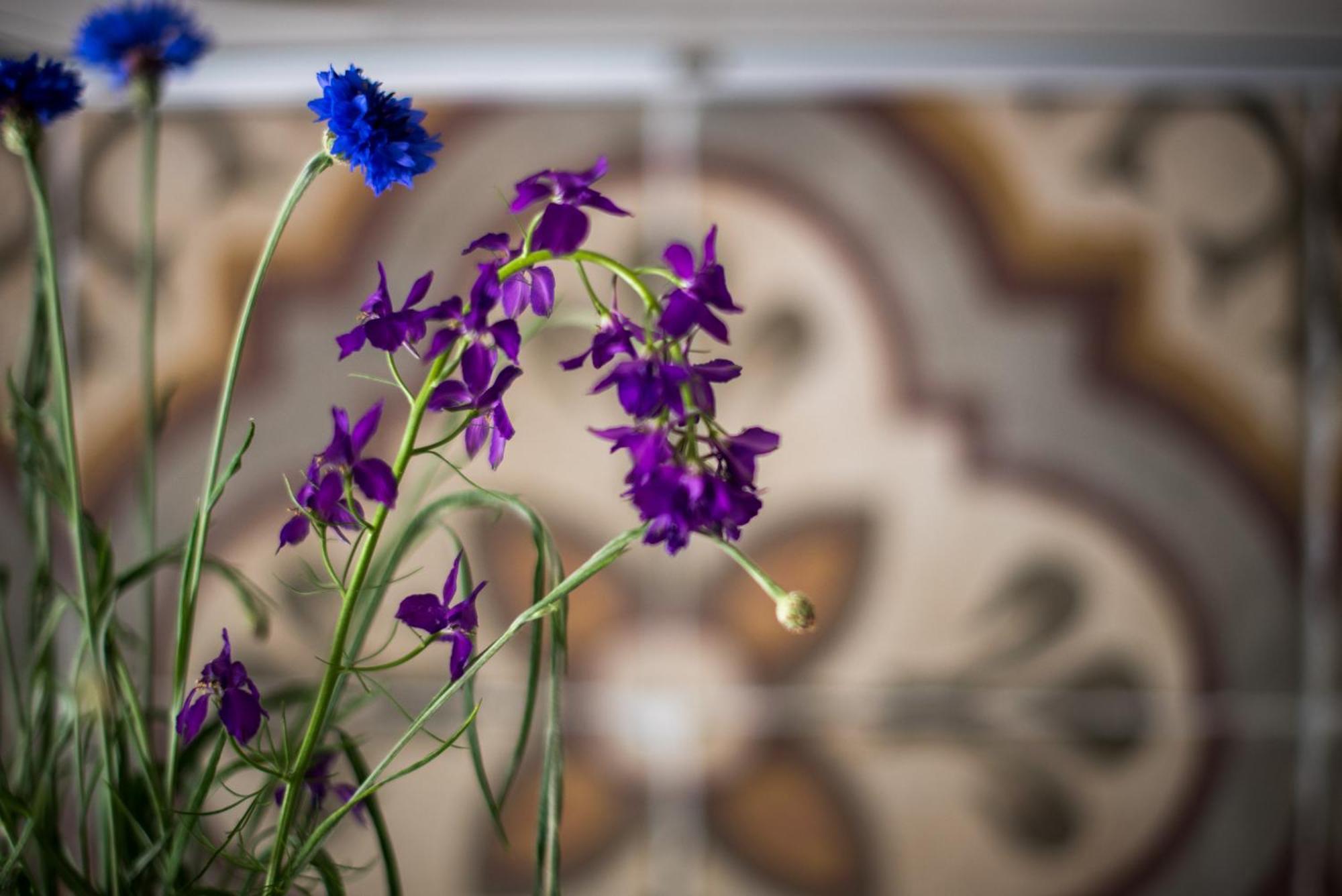 Agriturismo Casalino18 Tognazza Dış mekan fotoğraf